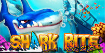 Name:  shark-bite.jpg
Views: 359
Size:  19.8 KB